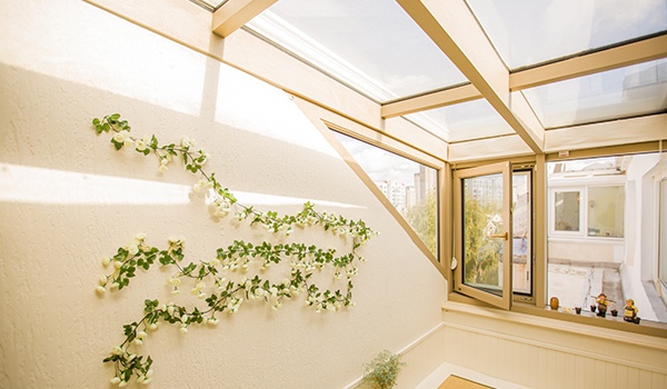 自由拾光丨Swg60