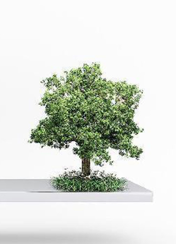 地球開啟“火爆季”，究竟什么才是我們的遮陽傘？