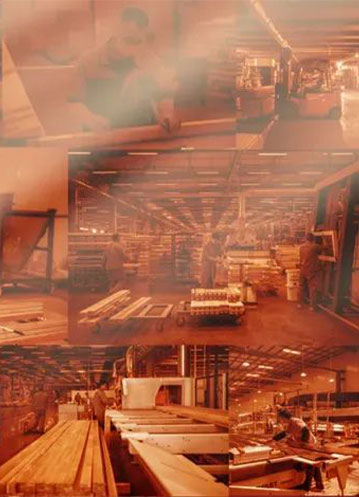 敲鐘！森鷹即將正式登陸深交所，率先上市