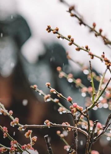 頭等大事，冬季換窗注意事項