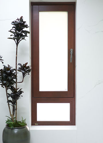 暑夏送涼，森小鷹尋“親”記