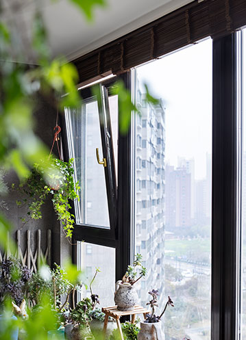 森鷹重磅新品震動(dòng)行業(yè)，品牌升級(jí)大會(huì)圓滿成功！