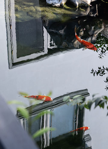 浙江省景寧畬族自治縣綠色建筑專項規(guī)劃（2022-2030）印發(fā)！